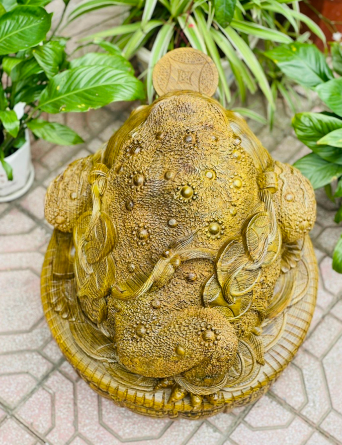 Mẫu Cóc Thiềm Thừ Dây Tiền Gỗ Mun Đuôi Công.png